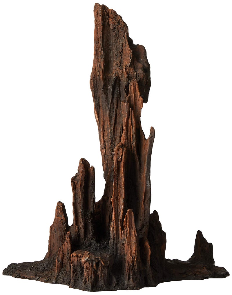 Underwater Treasures Petrified Wood - Large - Image 2